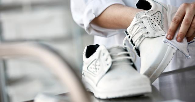 <b>Pleje af fodtøj</b>