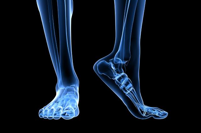 <b>5 Fun Facts om fødder </b>